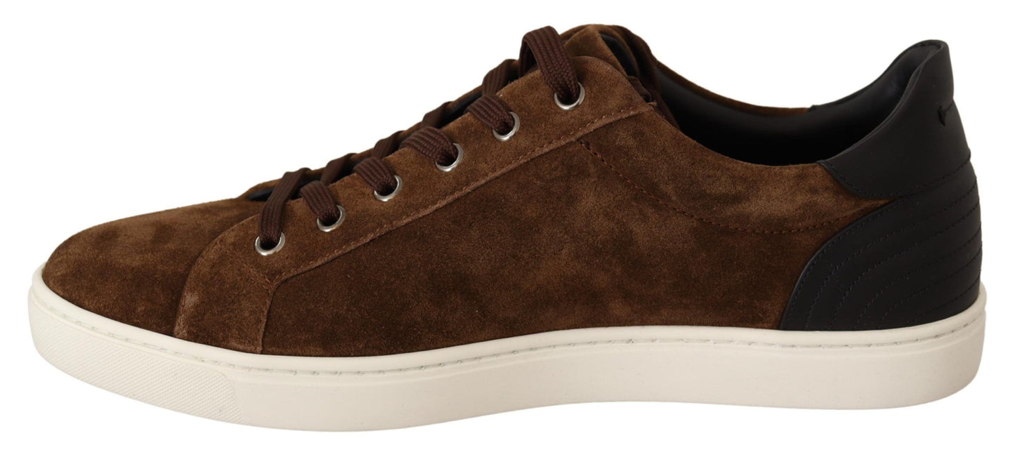 Dolce & Gabbana Elegant Leather Casual Sneakers in Brown