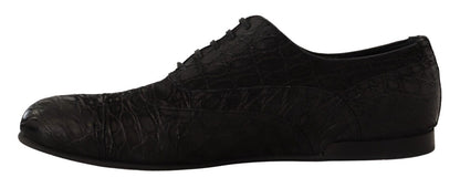 Dolce & Gabbana Elegant Exotic Leather Oxford Shoes