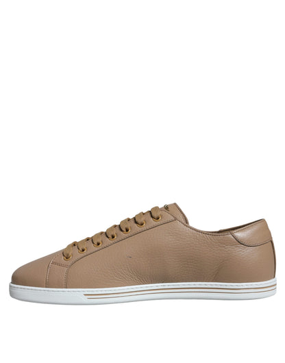 Dolce & Gabbana Brown Low Top Men Saint Tropez Sneakers Shoes