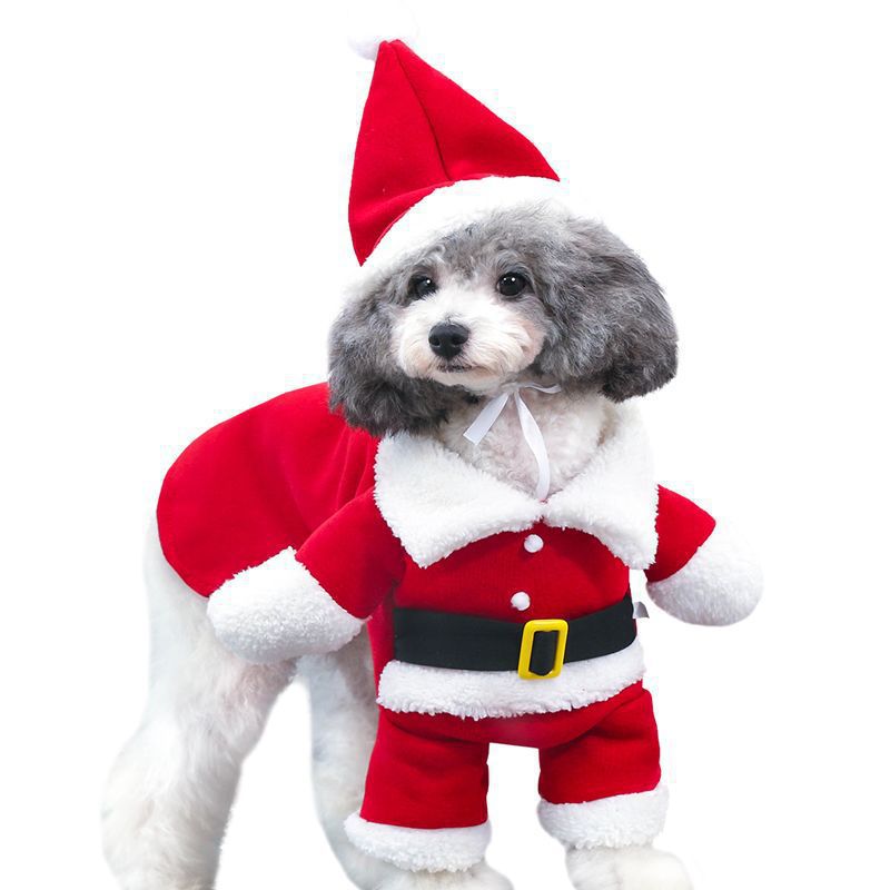 Pet clothes, Christmas cape