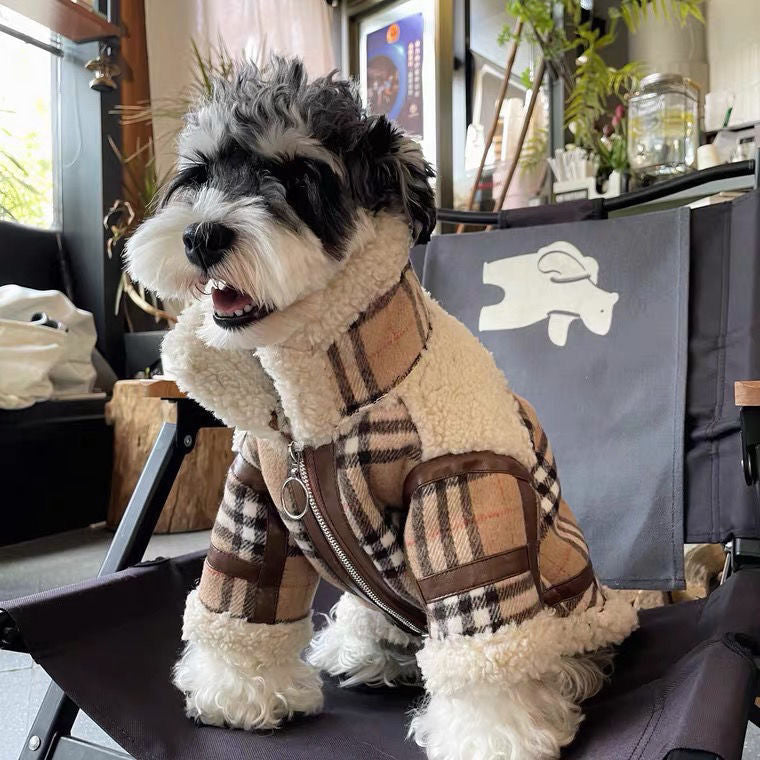 warm lambswool coat for small and medium sized dogs and cats