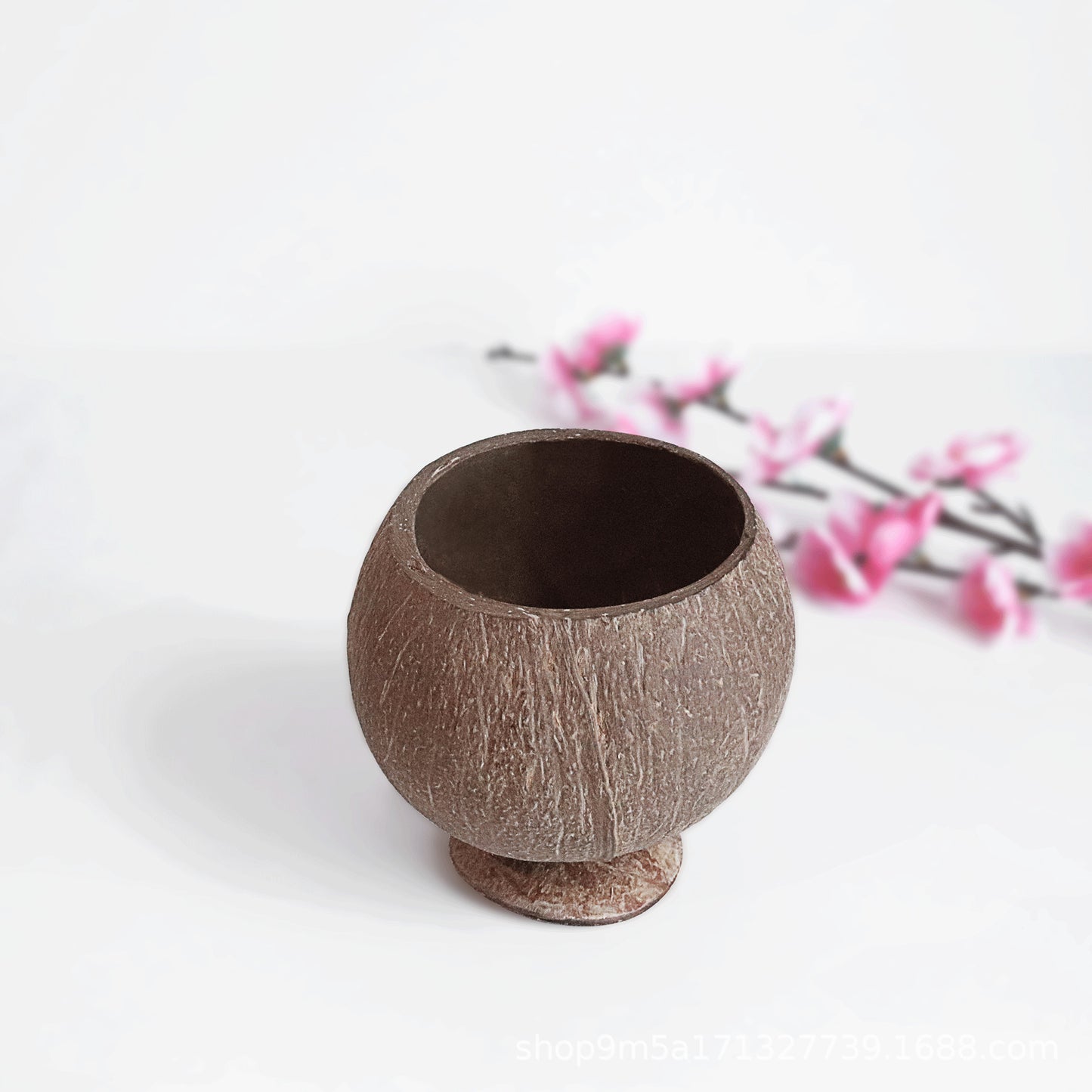 Natural coconut shell bowl