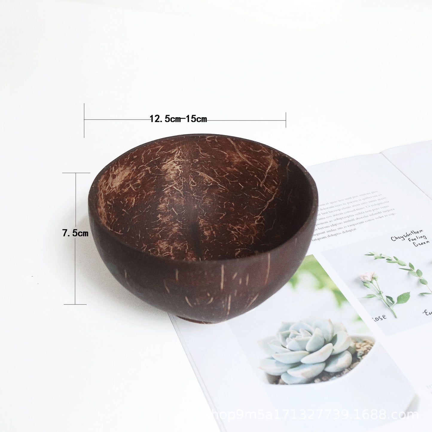 Natural coconut shell bowl