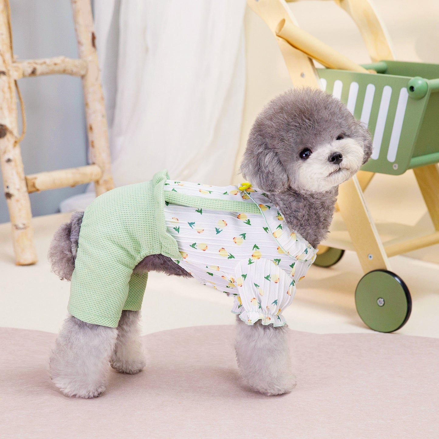 Four-legged pants for pet dogs