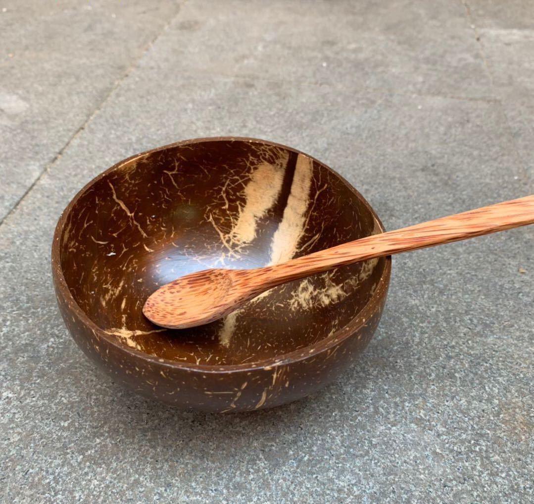 Natural coconut shell bowl