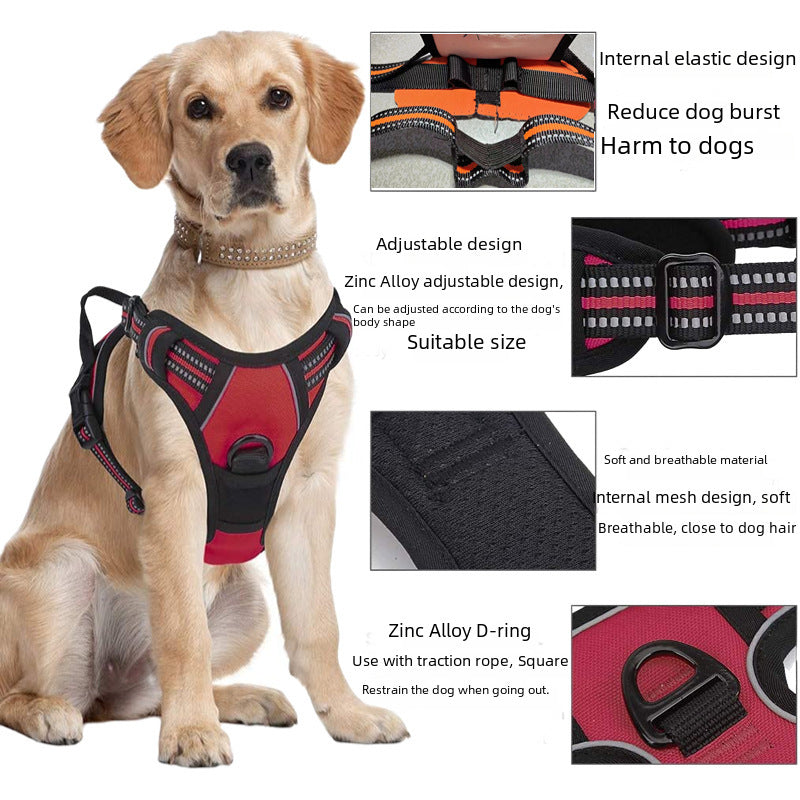 Dog Leash, Nylon Back and Chest, Large Chest Strap