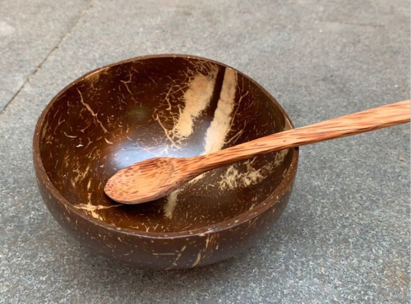 Natural coconut shell bowl